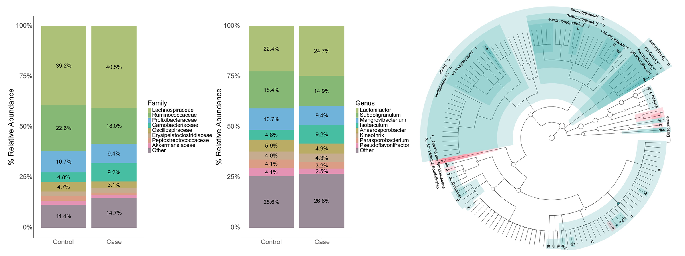 Microbiome cladogram and 16S taxonomic composition analysis figure