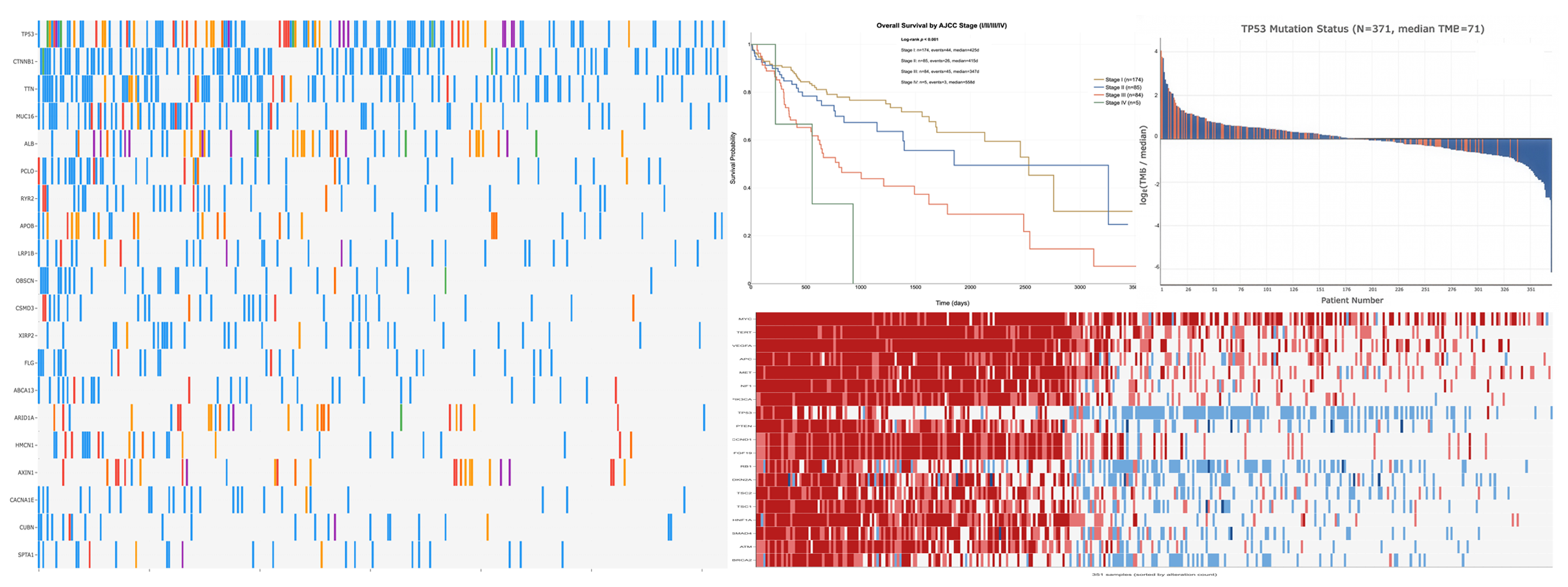 TCGA-LIHC multi-omics analysis overview figure