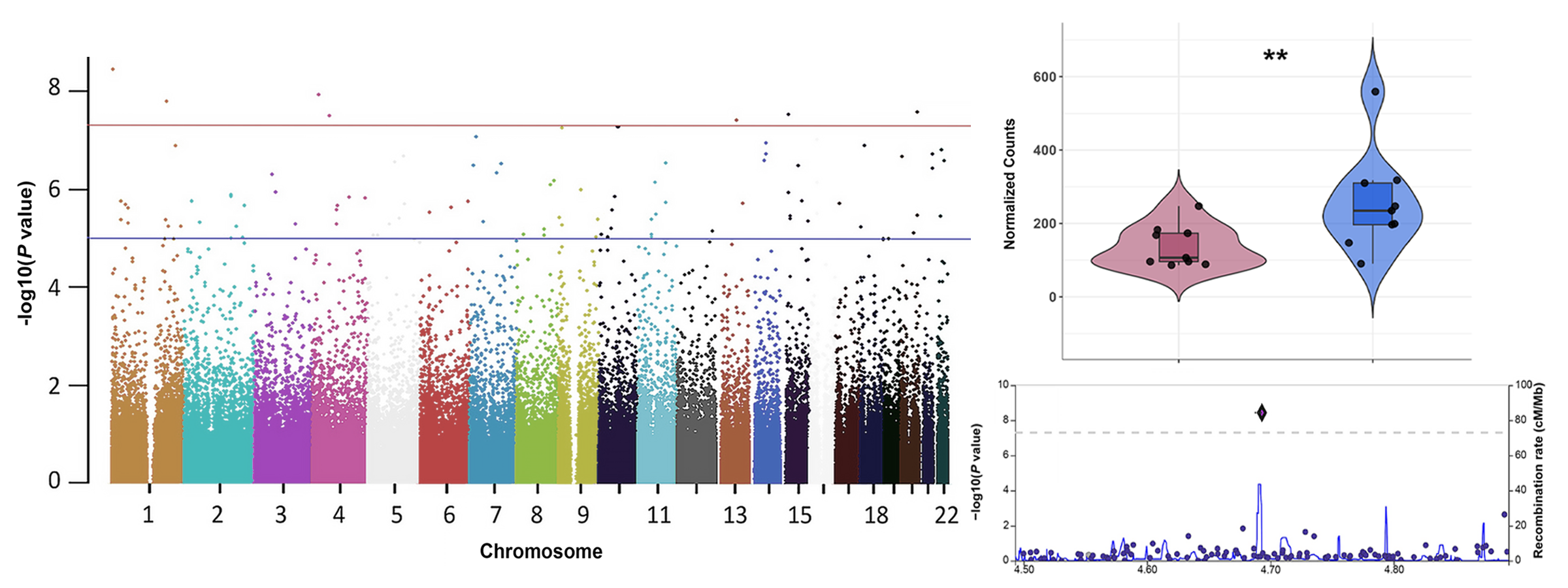 TPMI genotype data analysis results